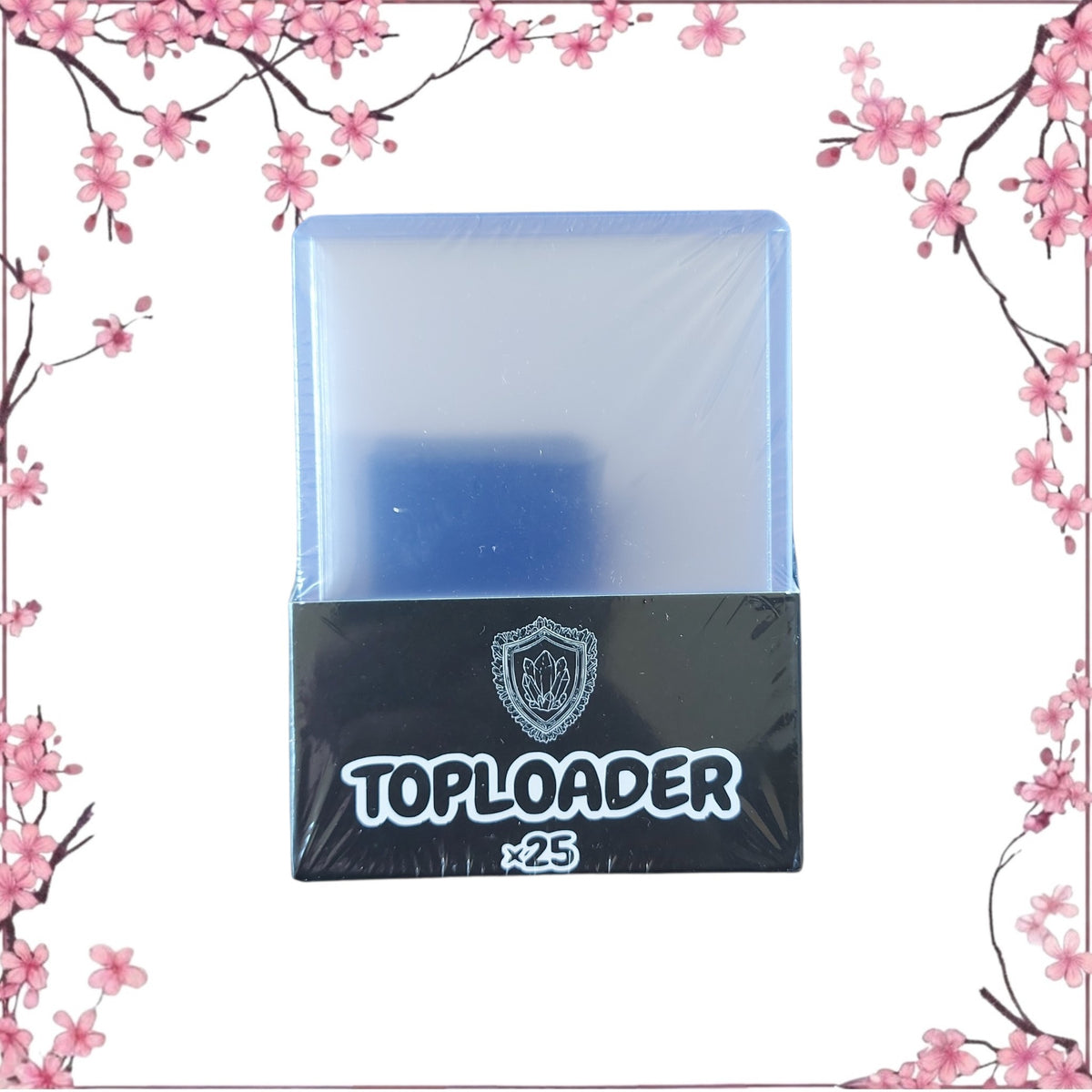 TOPLOADERS ×25